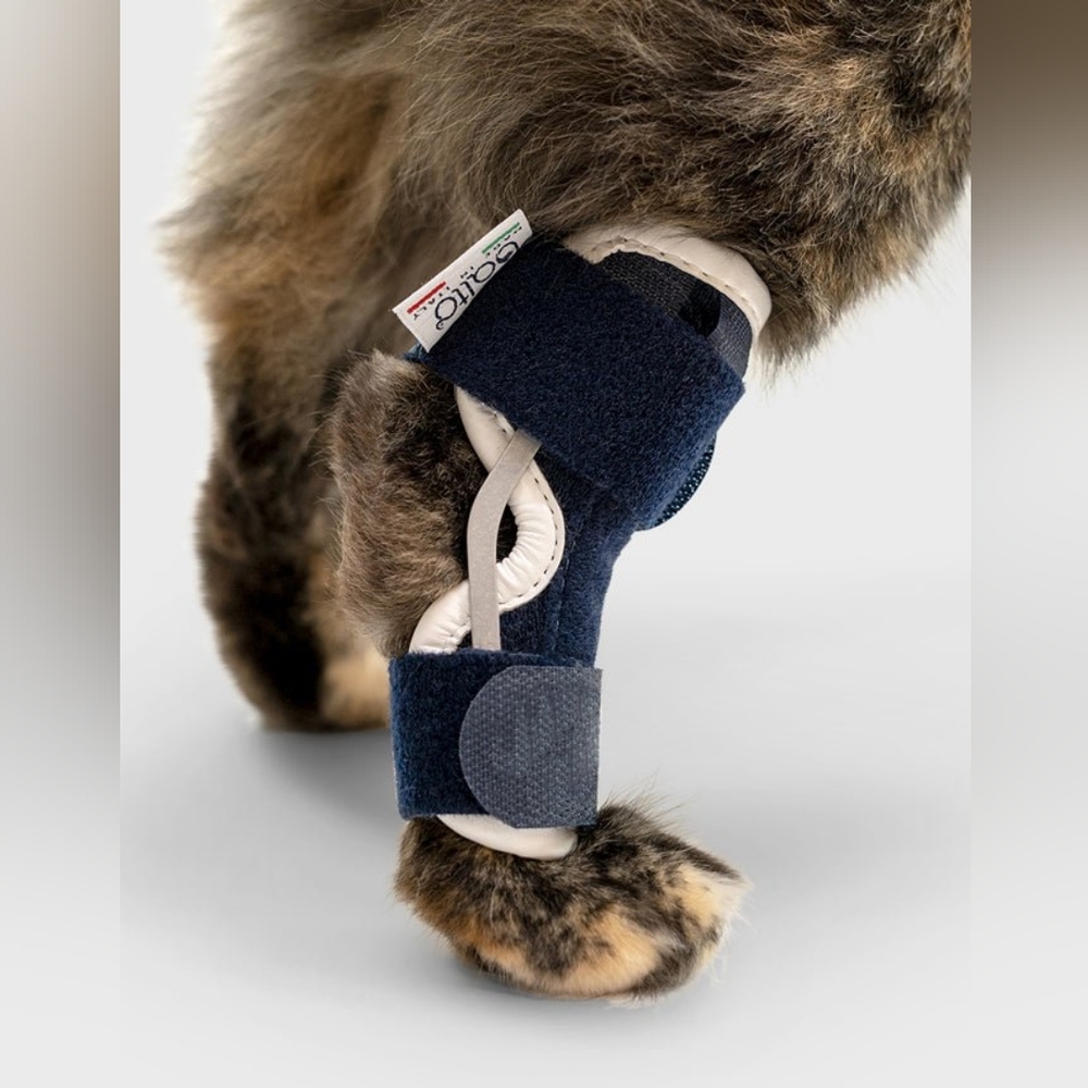 Balto Hock Support Brace 🐈&🐕🔥SALE🔥